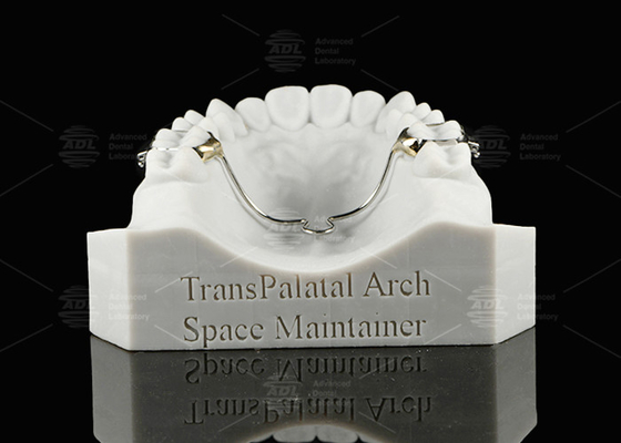 Mua ADL Transpalatal Arch Space Maintainer Không gian có thể tháo rời sản xuất trực tuyến